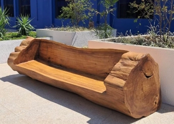 Marcenaria criativa da Novacap reaproveita árvores antigas e reforça compromisso ambiental