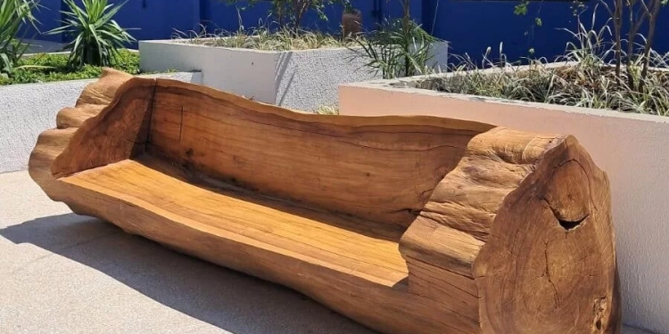 Marcenaria criativa da Novacap reaproveita árvores antigas e reforça compromisso ambiental