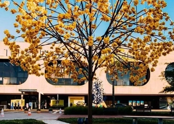 CCBB Brasília celebra 25 anos com programação especial em outubro