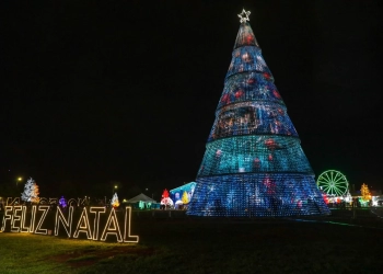 Decoração de Natal 2025: GDF revela instituições classificadas para assinar o projeto em Brasília