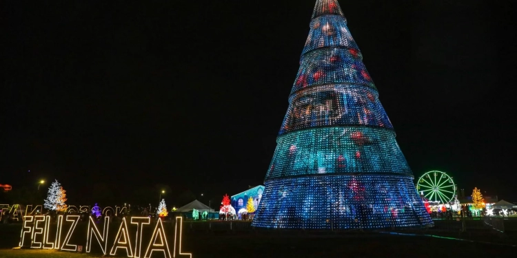 Decoração de Natal 2025: GDF revela instituições classificadas para assinar o projeto em Brasília