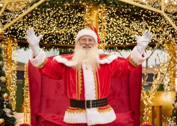Brasília Shopping celebra o Natal com o espetáculo Os Ursos Guardiões do Natal