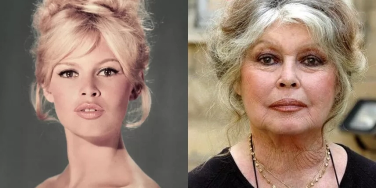 Adeus Brigitte Bardot! Morre aos 91 anos a atriz e ícone do cinema francês