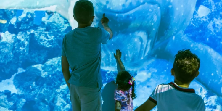 Uma viagem pelo planeta azul: Oceano Vivo estreia experiência imersiva em Brasília