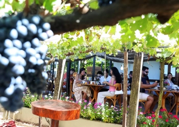 Rota das Uvas consolida Brasília como novo polo de enoturismo no Cerrado