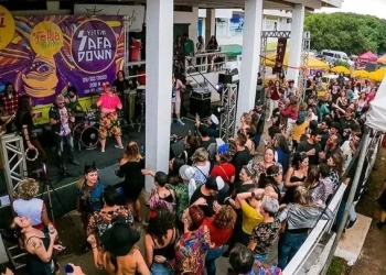 Bloco System Safadown celebra cinco anos no Setor Carnavalesco Sul com o tema “War Pigs”