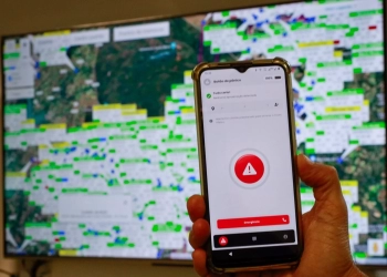 DF registra prisão por violência doméstica a cada uma hora e meia, aponta estudo