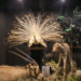 Museu de Ciências Naturais do Zoo de Brasília reabre com novo acervo interativo e foco em educação ambiental