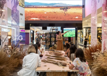 Exposição “Brasília Cerrado” tem temporada prorrogada no Brasília Shopping