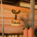 Novo resort do Grupo Tauá transforma João Pessoa em polo de lazer e entretenimento