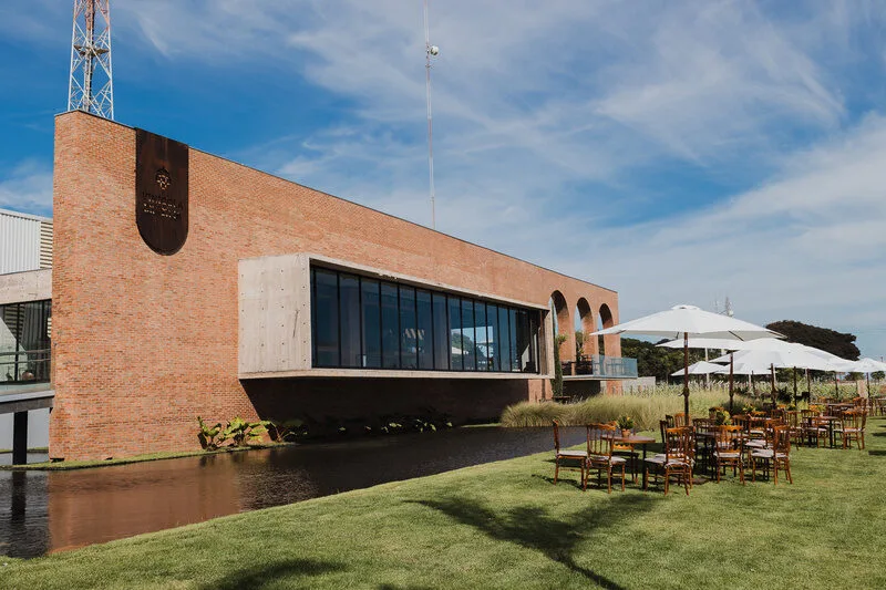 Vinícola Brasília leva premiados rótulos do Cerrado para a Expovitis Brasil 2026