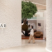 Casapark: Casa B abre as portas para o mercado mobiliário de alto padrão