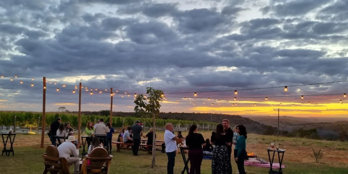 Safras do Cerrado 2026 reúne vinhos que traduzem a nova identidade do Planalto Central