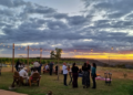 Safras do Cerrado 2026 reúne vinhos que traduzem a nova identidade do Planalto Central